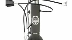 EXCELSIOR Swagger Herren, 28 (2020) -Cityräder Verkäufe 02161636 EXCELSIOR Cityrad Swagger 4 jpg 1280x1280